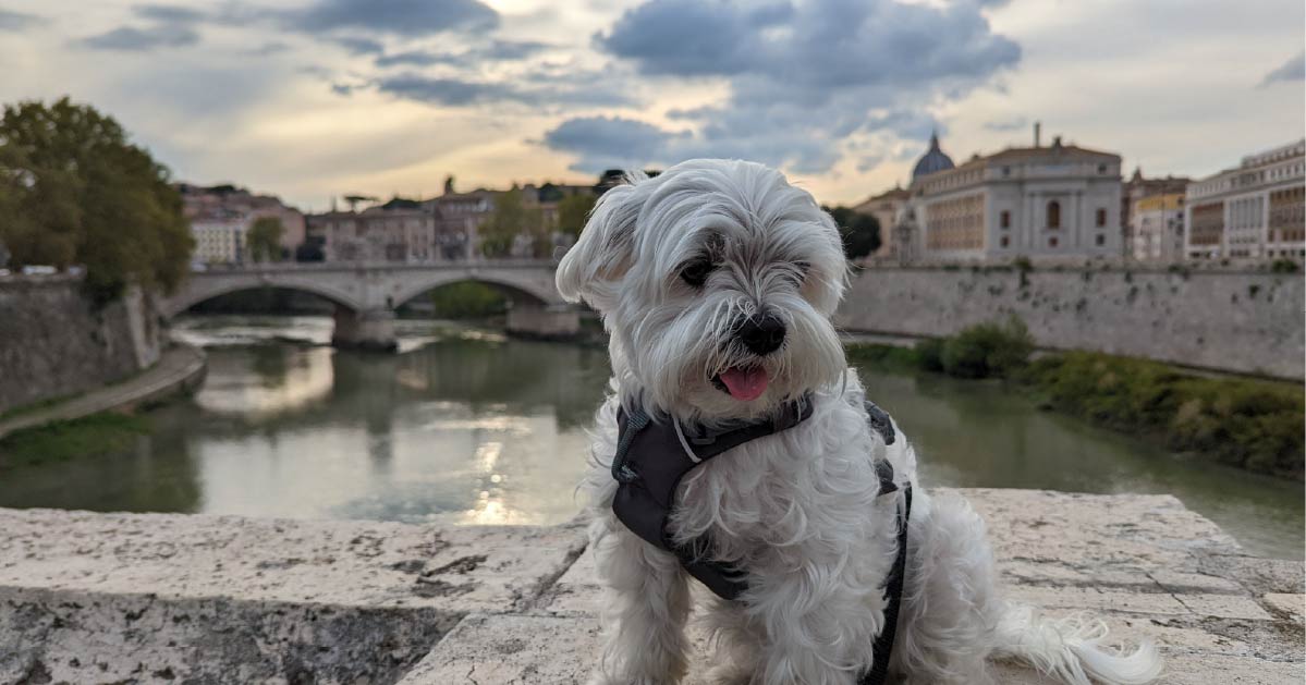 TH Roma - Carpegna Palace