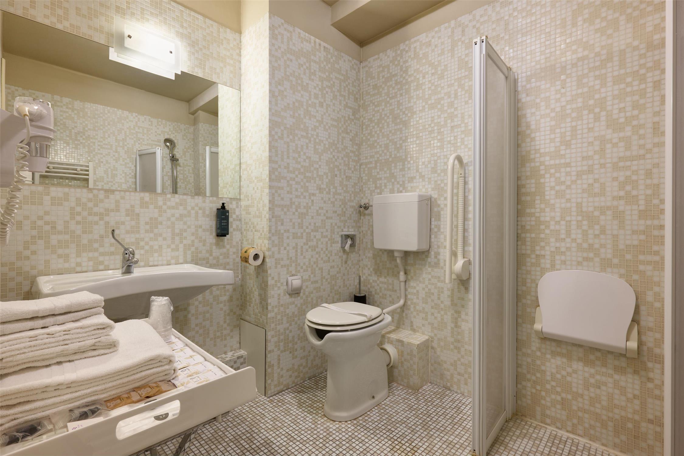 Accessible - 1 Single, Mobility Accessible, Roll In Shower, Economy Room, Coffee And Tea Maker, Non-Smoking