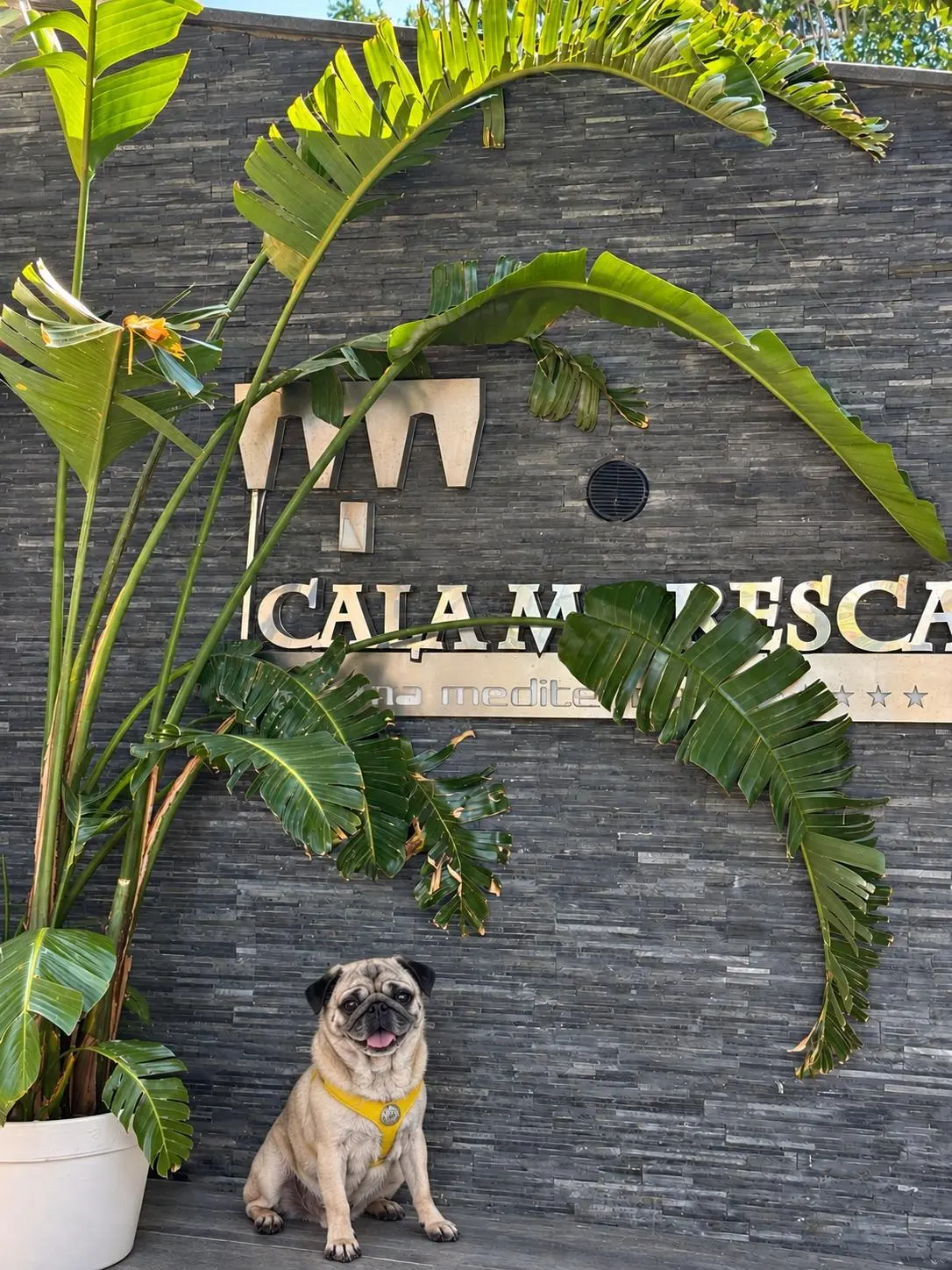 Cala Moresca