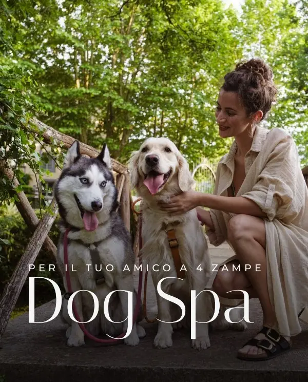 Dog Spa – Terme di Stigliano