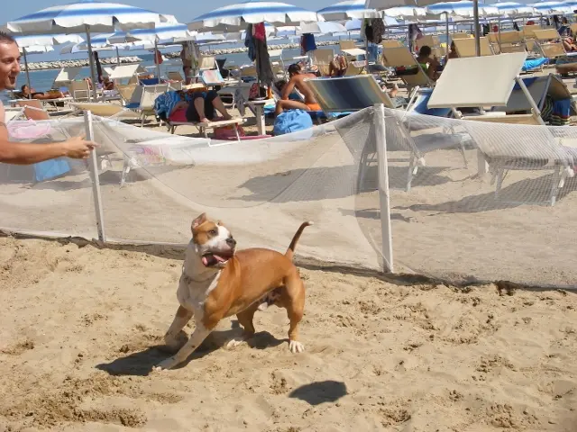 Bagno Egisto 38 – Spiaggia Pet a Viserba di Rimini
