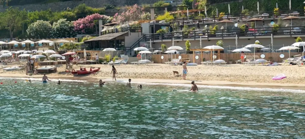 Baba Beach Alassio – Dog Beach a Alassio (SV)