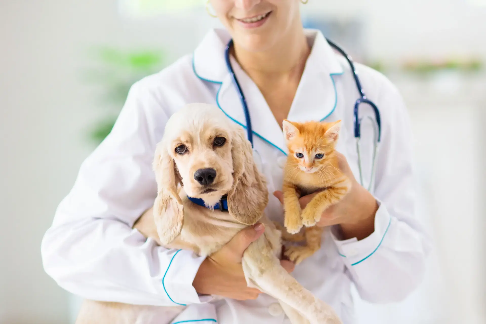 Ambulatorio Veterinario Dott.ssa Barbara Vieri