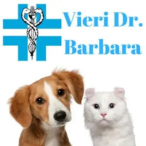 Ambulatorio Veterinario Dott.ssa Barbara Vieri