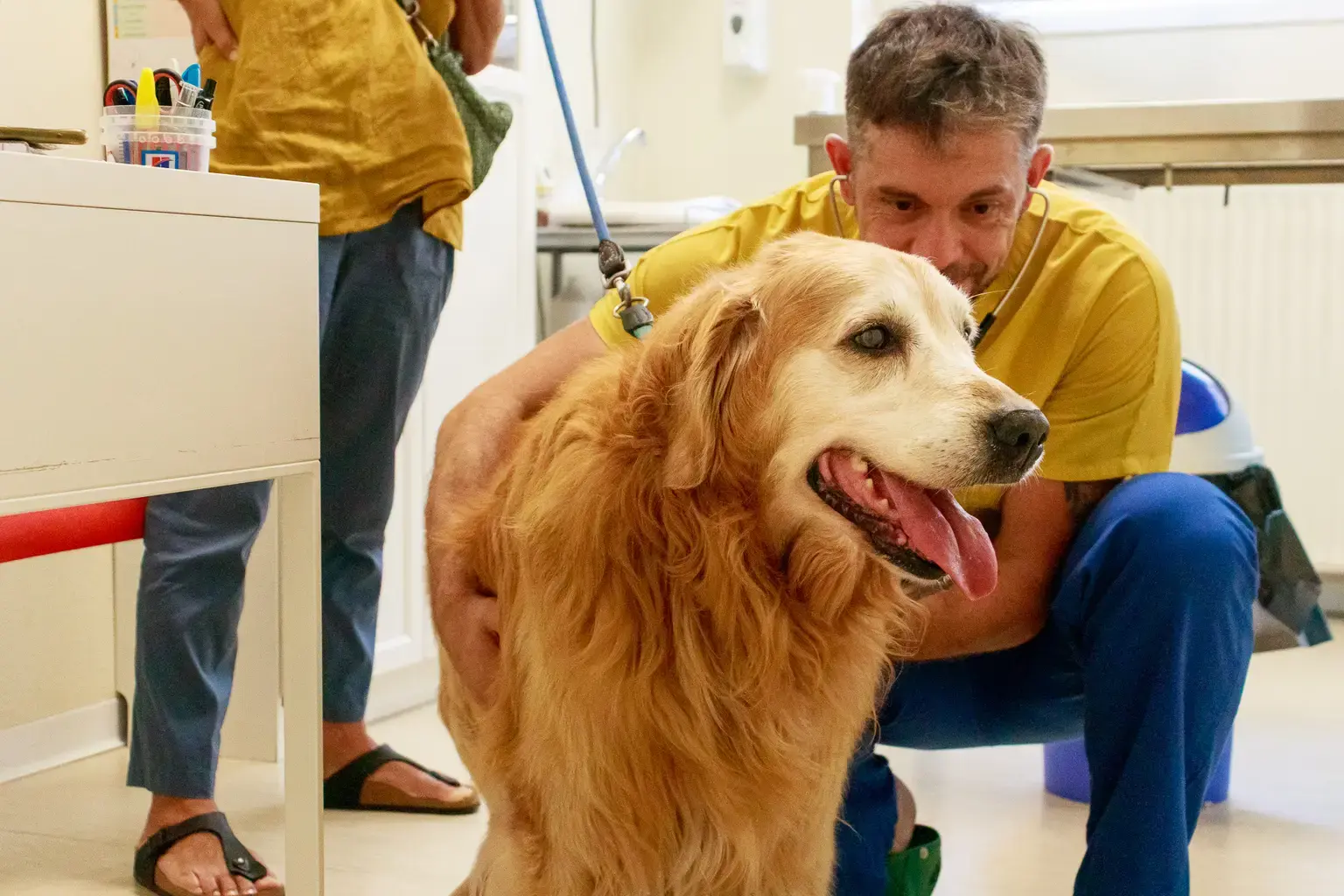 Centro Veterinario Riva del Garda