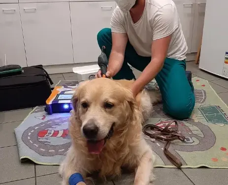 Clinica Veterinaria Centro Storico Bolzano