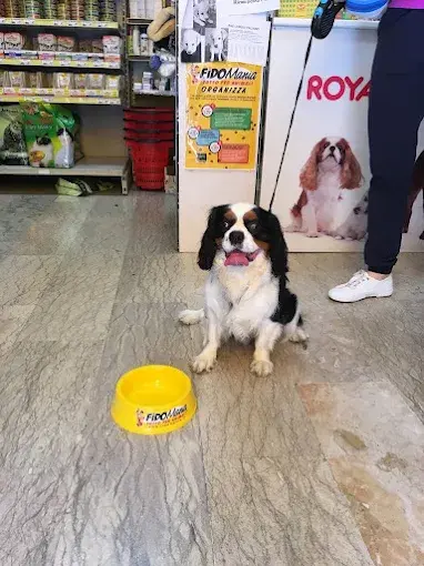 Fidomania – Tutto per Animali