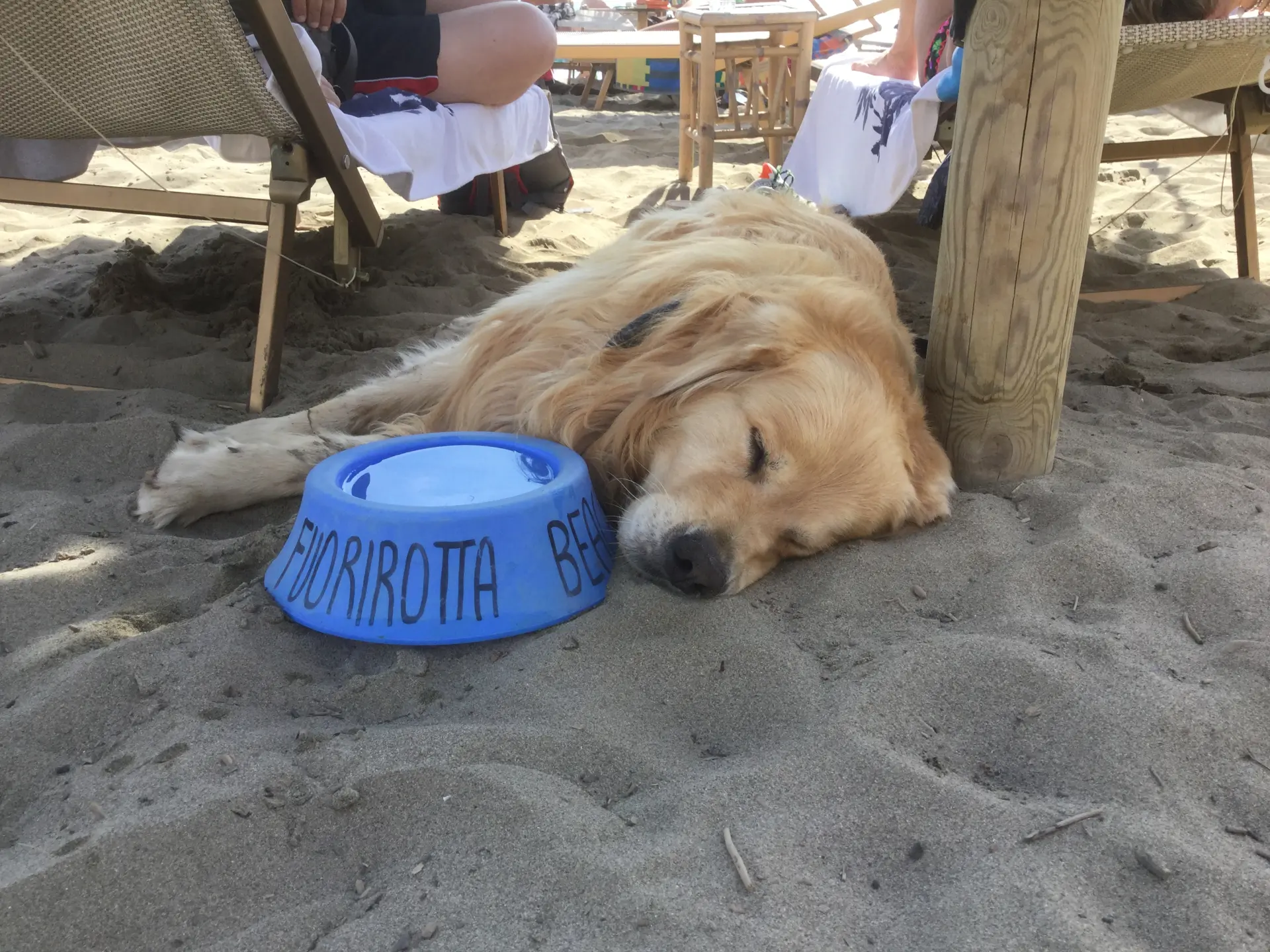 Fuorirotta Bau Bau Beach – Marina di Grosseto (GR)